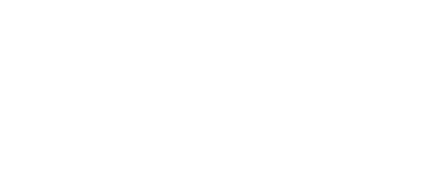 TDV_Logo_White_Stacked